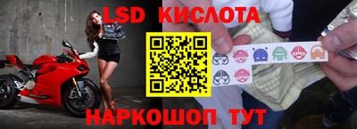 прущие грибы Ставрополь