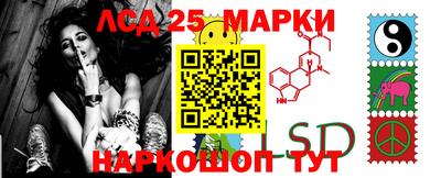 прущие грибы Ставрополь
