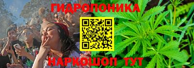 прущие грибы Ставрополь