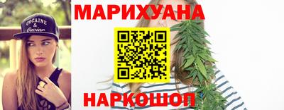 прущие грибы Ставрополь