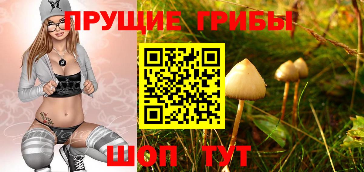 купить наркотик  Вход с VPN  Нижний Тагил  Галлюциногенные грибы Psilocybe 